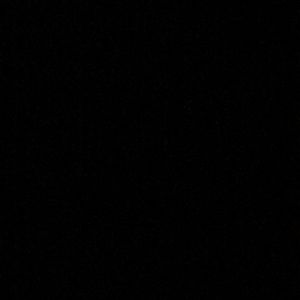 Meet your Posher, Sunday